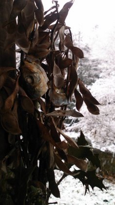 140204_1606~01.jpg