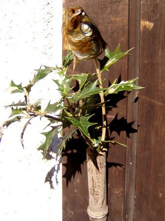 20120203yaikagashi.jpg