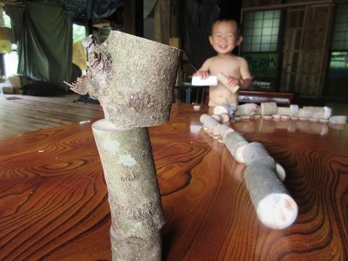 IMG_7067tsumiki_DIY.JPG