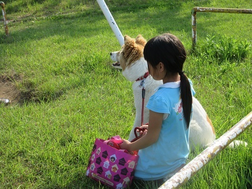 IMG_7328dog.JPG