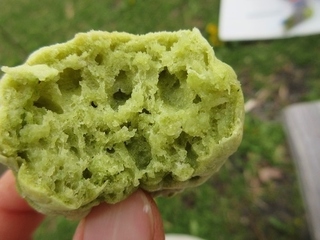 IMG_8504sugina_yomogi_panc ake.JPG