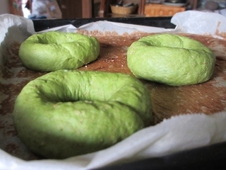 IMG_8681sugina_bagel.JPG