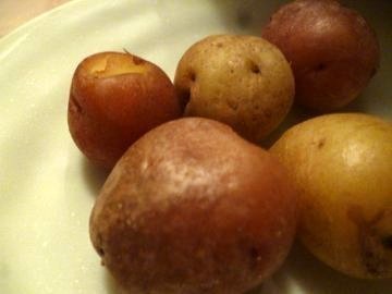 P1070759odango_potato.JPG